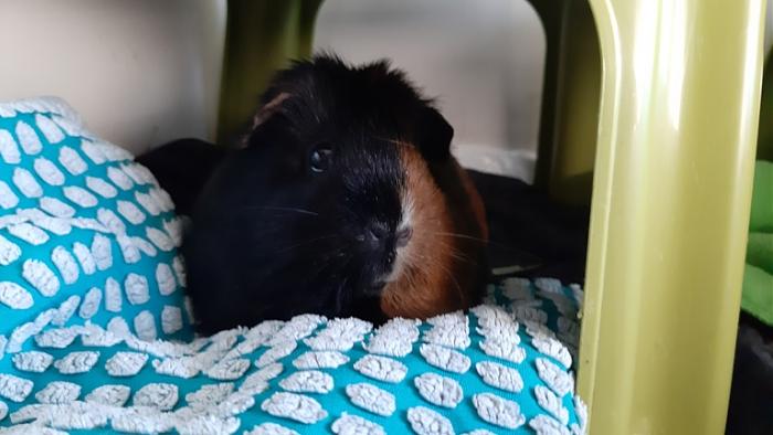 Klicke auf die Grafik fr eine grere Ansicht

Name:	20220327_085811.jpg
Hits:	0
Gre:	95,3 KB
ID:	195119