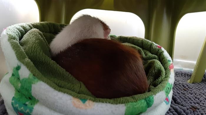 Klicke auf die Grafik fr eine grere Ansicht

Name:	20220327_085803.jpg
Hits:	0
Gre:	91,2 KB
ID:	195120