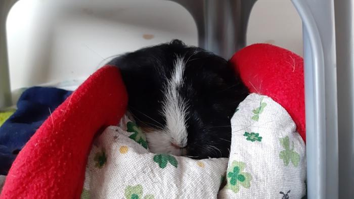 Klicke auf die Grafik fr eine grere Ansicht

Name:	20220327_085741.jpg
Hits:	0
Gre:	91,2 KB
ID:	195121