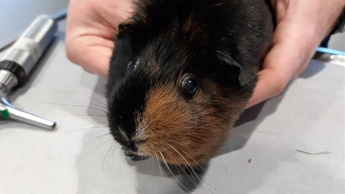 Klicke auf die Grafik fr eine grere Ansicht

Name:	20220323_155909.jpg
Hits:	0
Gre:	79,1 KB
ID:	195122