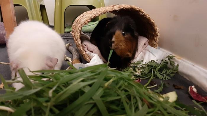 Klicke auf die Grafik fr eine grere Ansicht

Name:	20220322_185105.jpg
Hits:	0
Gre:	94,2 KB
ID:	195123