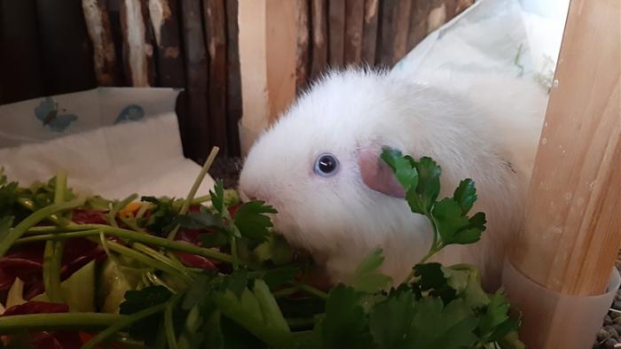 Klicke auf die Grafik fr eine grere Ansicht

Name:	20220319_070905.jpg
Hits:	1
Gre:	79,9 KB
ID:	195124