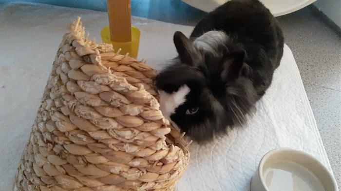 Klicke auf die Grafik fr eine grere Ansicht

Name:	20220327_111526.jpg
Hits:	0
Gre:	102,7 KB
ID:	195125