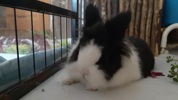 Klicke auf die Grafik fr eine grere Ansicht

Name:	20220325_072204.jpg
Hits:	0
Gre:	75,3 KB
ID:	195126