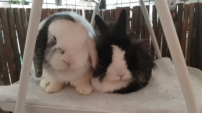 Klicke auf die Grafik fr eine grere Ansicht

Name:	20220325_072144.jpg
Hits:	0
Gre:	77,8 KB
ID:	195129