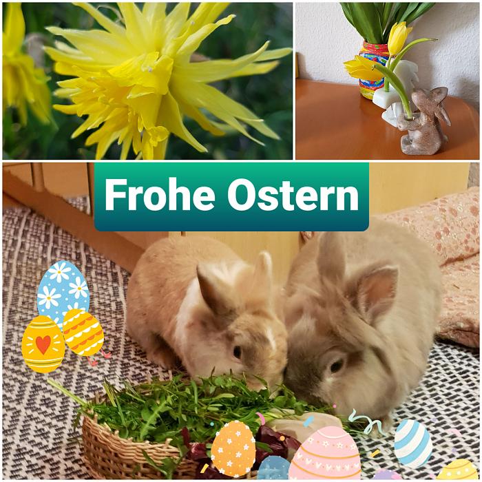 Klicke auf die Grafik fr eine grere Ansicht

Name:	20220415_134011.jpg
Hits:	0
Gre:	321,0 KB
ID:	195639