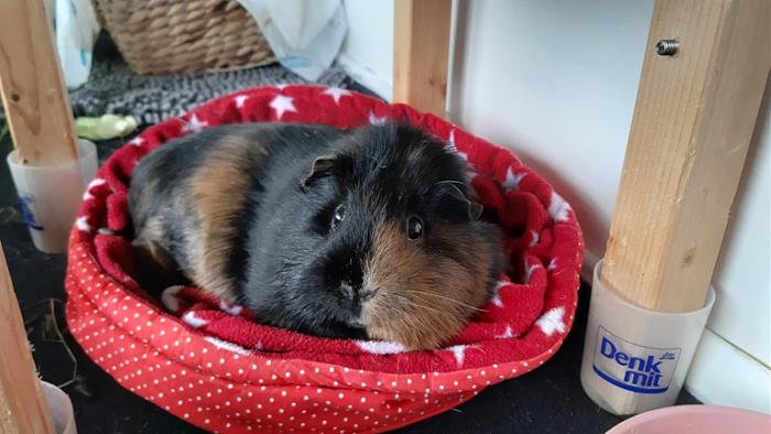 Klicke auf die Grafik fr eine grere Ansicht

Name:	20220605_174751.jpg
Hits:	0
Gre:	115,2 KB
ID:	196494