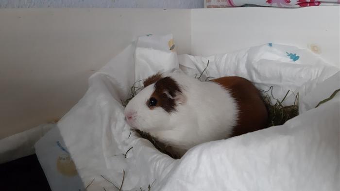 Klicke auf die Grafik fr eine grere Ansicht

Name:	20220605_174801.jpg
Hits:	0
Gre:	57,9 KB
ID:	196495