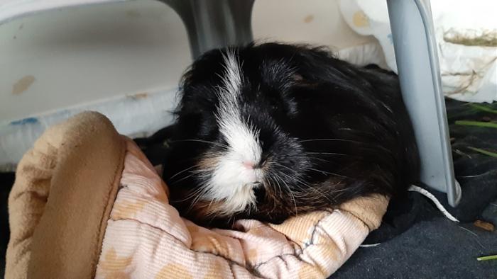 Klicke auf die Grafik fr eine grere Ansicht

Name:	20220605_094920.jpg
Hits:	0
Gre:	95,6 KB
ID:	196496