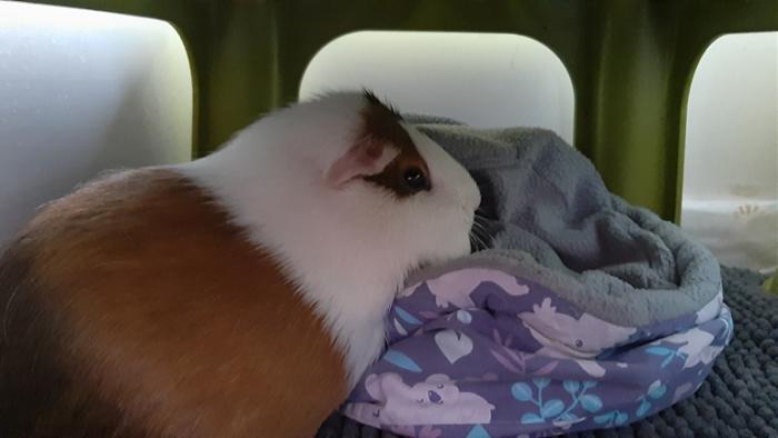 Klicke auf die Grafik fr eine grere Ansicht

Name:	20220605_094933.jpg
Hits:	0
Gre:	74,4 KB
ID:	196498