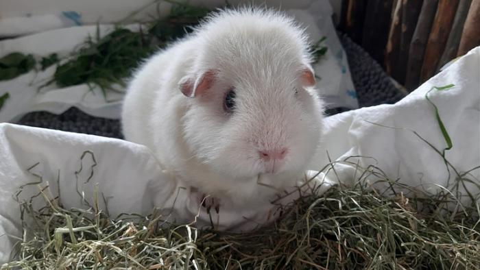 Klicke auf die Grafik fr eine grere Ansicht

Name:	20220604_133710.jpg
Hits:	0
Gre:	106,8 KB
ID:	196499