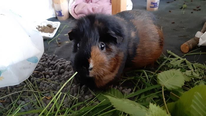 Klicke auf die Grafik fr eine grere Ansicht

Name:	20220603_194230.jpg
Hits:	0
Gre:	108,0 KB
ID:	196504