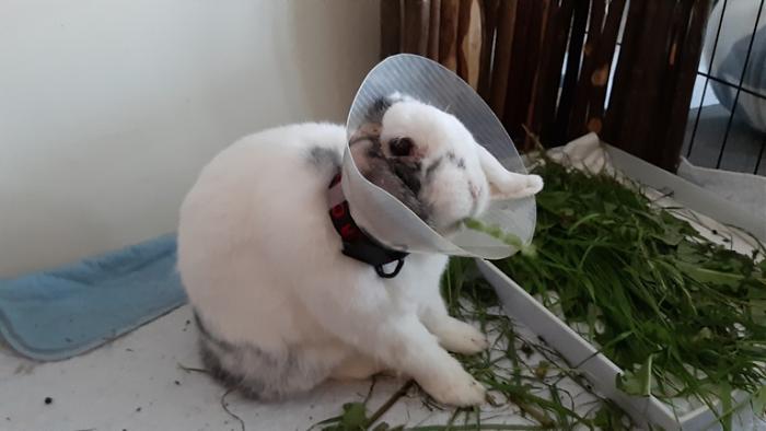 Klicke auf die Grafik fr eine grere Ansicht

Name:	20220529_172335.jpg
Hits:	0
Gre:	79,9 KB
ID:	196507