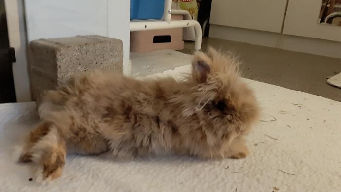 Klicke auf die Grafik fr eine grere Ansicht

Name:	20220530_053127.jpg
Hits:	0
Gre:	74,1 KB
ID:	196508