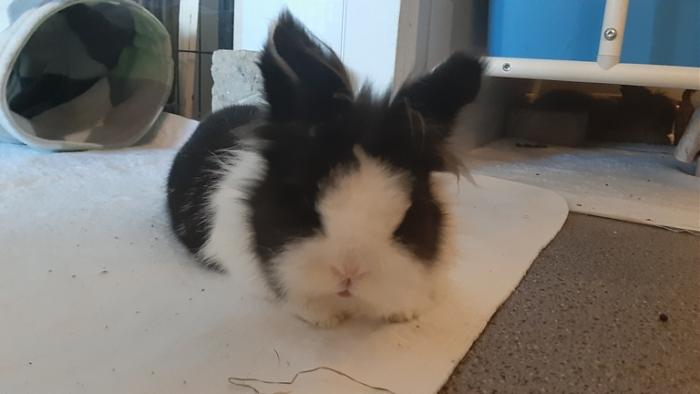 Klicke auf die Grafik fr eine grere Ansicht

Name:	20220531_071748.jpg
Hits:	0
Gre:	70,3 KB
ID:	196509