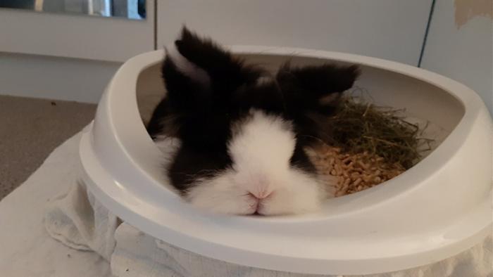 Klicke auf die Grafik fr eine grere Ansicht

Name:	20220603_075900.jpg
Hits:	0
Gre:	59,3 KB
ID:	196510