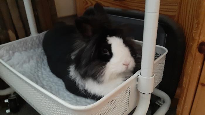 Klicke auf die Grafik fr eine grere Ansicht

Name:	20220601_105357.jpg
Hits:	0
Gre:	77,5 KB
ID:	196512