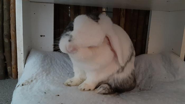 Klicke auf die Grafik fr eine grere Ansicht

Name:	20220604_111049.jpg
Hits:	0
Gre:	66,1 KB
ID:	196513