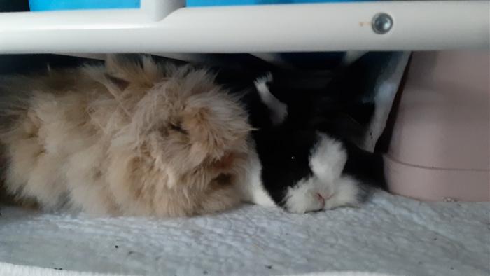 Klicke auf die Grafik fr eine grere Ansicht

Name:	20220604_130511.jpg
Hits:	0
Gre:	68,7 KB
ID:	196514