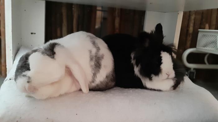 Klicke auf die Grafik fr eine grere Ansicht

Name:	20220604_141331.jpg
Hits:	0
Gre:	62,4 KB
ID:	196515