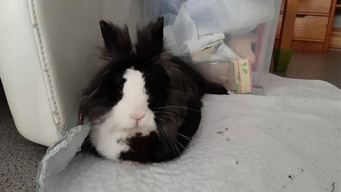 Klicke auf die Grafik fr eine grere Ansicht

Name:	20220605_122934.jpg
Hits:	0
Gre:	75,7 KB
ID:	196516