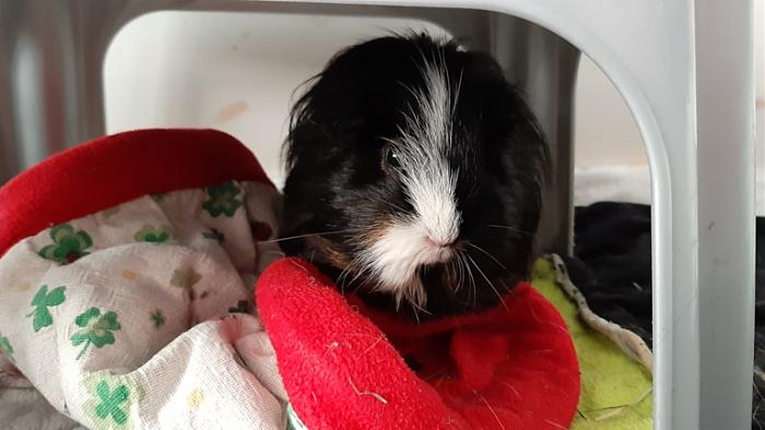 Klicke auf die Grafik fr eine grere Ansicht

Name:	20220611_131152.jpg
Hits:	0
Gre:	93,7 KB
ID:	196621