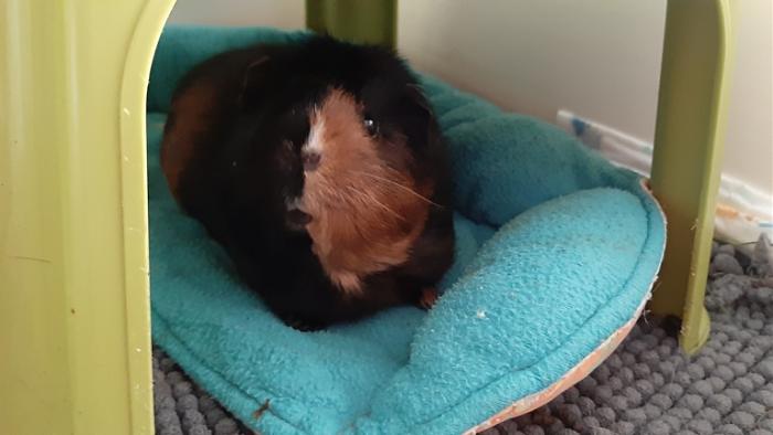 Klicke auf die Grafik fr eine grere Ansicht

Name:	20220611_131134.jpg
Hits:	0
Gre:	80,4 KB
ID:	196622