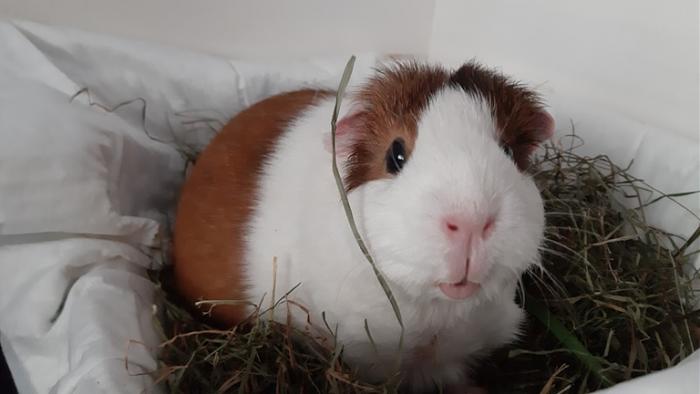 Klicke auf die Grafik fr eine grere Ansicht

Name:	20220611_131155.jpg
Hits:	0
Gre:	74,4 KB
ID:	196623