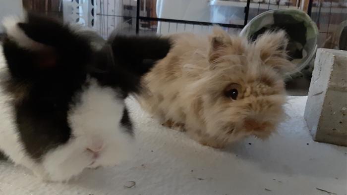 Klicke auf die Grafik fr eine grere Ansicht

Name:	20220605_211051.jpg
Hits:	0
Gre:	73,0 KB
ID:	196626