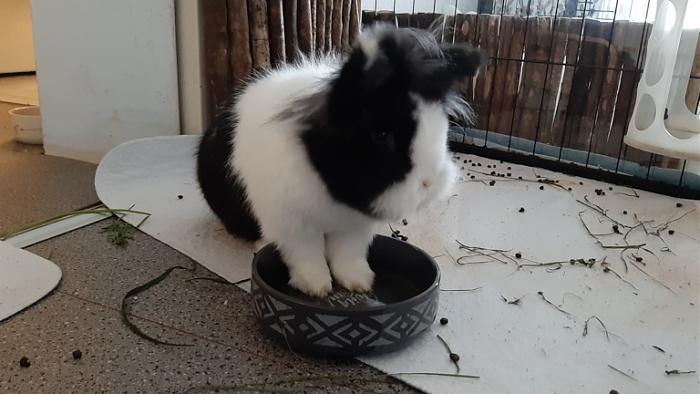 Klicke auf die Grafik fr eine grere Ansicht

Name:	20220606_073823.jpg
Hits:	0
Gre:	105,6 KB
ID:	196627