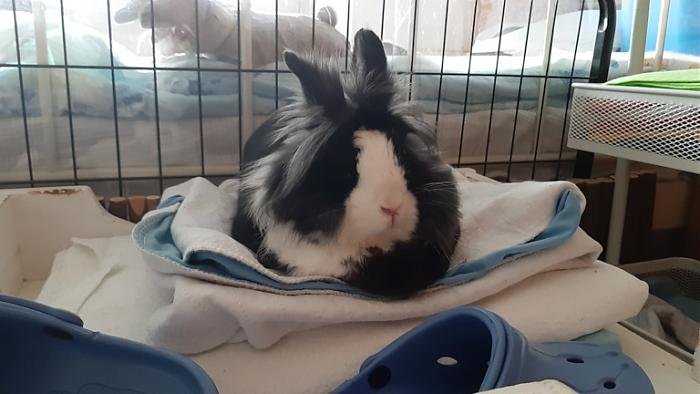 Klicke auf die Grafik fr eine grere Ansicht

Name:	20220606_071450.jpg
Hits:	0
Gre:	96,6 KB
ID:	196628