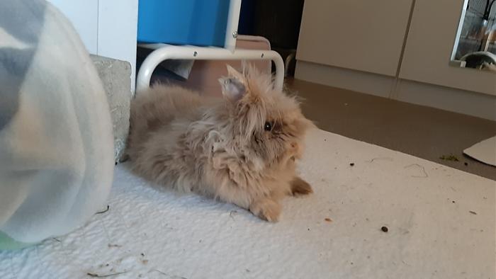 Klicke auf die Grafik fr eine grere Ansicht

Name:	20220606_075157.jpg
Hits:	0
Gre:	71,0 KB
ID:	196629