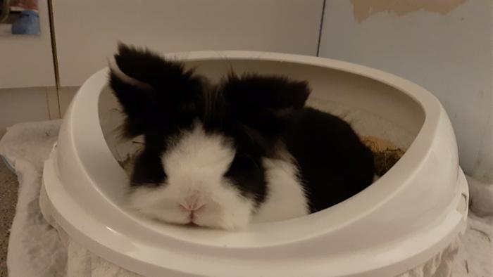 Klicke auf die Grafik fr eine grere Ansicht

Name:	20220608_025527.jpg
Hits:	0
Gre:	56,8 KB
ID:	196630