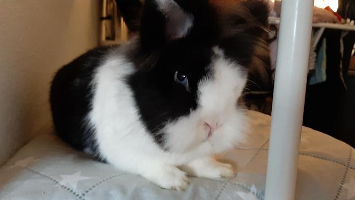 Klicke auf die Grafik fr eine grere Ansicht

Name:	20220609_074253.jpg
Hits:	0
Gre:	66,3 KB
ID:	196634