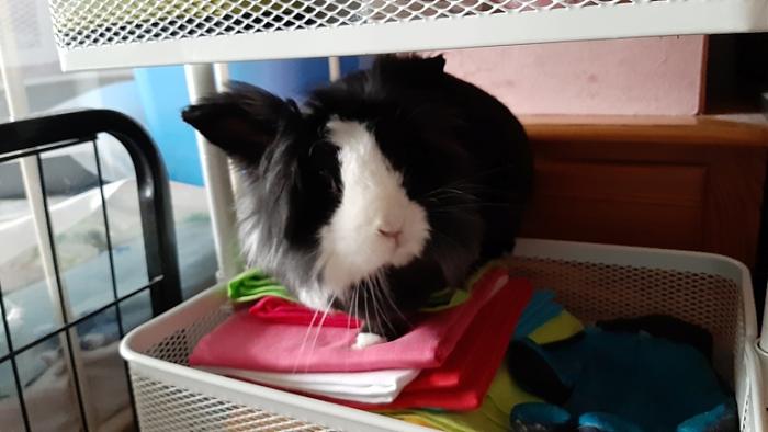 Klicke auf die Grafik fr eine grere Ansicht

Name:	20220609_184837.jpg
Hits:	0
Gre:	89,4 KB
ID:	196635