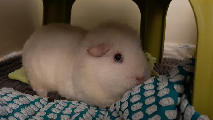 Klicke auf die Grafik fr eine grere Ansicht

Name:	20220614_045941.jpg
Hits:	0
Gre:	75,8 KB
ID:	196755