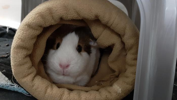 Klicke auf die Grafik fr eine grere Ansicht

Name:	20220617_025806.jpg
Hits:	0
Gre:	77,9 KB
ID:	196756