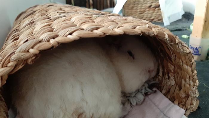 Klicke auf die Grafik fr eine grere Ansicht

Name:	20220616_101632.jpg
Hits:	0
Gre:	98,3 KB
ID:	196758