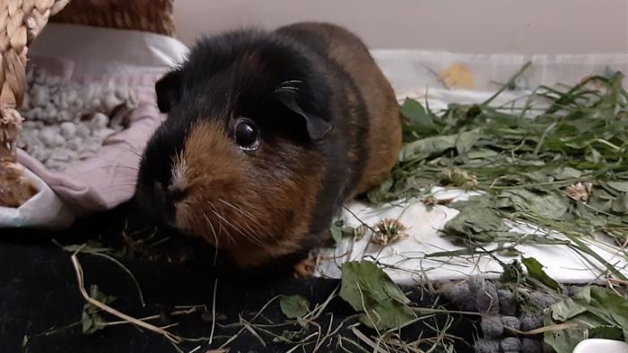 Klicke auf die Grafik fr eine grere Ansicht

Name:	20220617_025812.jpg
Hits:	0
Gre:	106,7 KB
ID:	196759