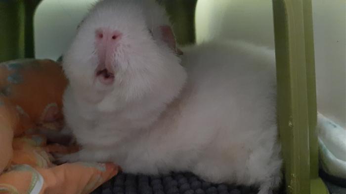 Klicke auf die Grafik fr eine grere Ansicht

Name:	20220618_120322.jpg
Hits:	0
Gre:	59,4 KB
ID:	196760