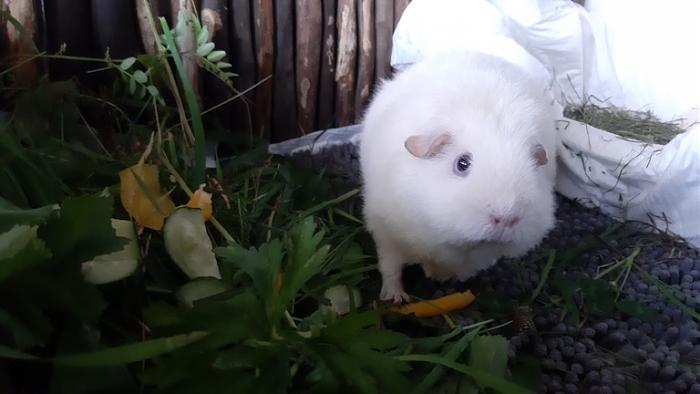 Klicke auf die Grafik fr eine grere Ansicht

Name:	20220619_075222.jpg
Hits:	0
Gre:	86,8 KB
ID:	196761