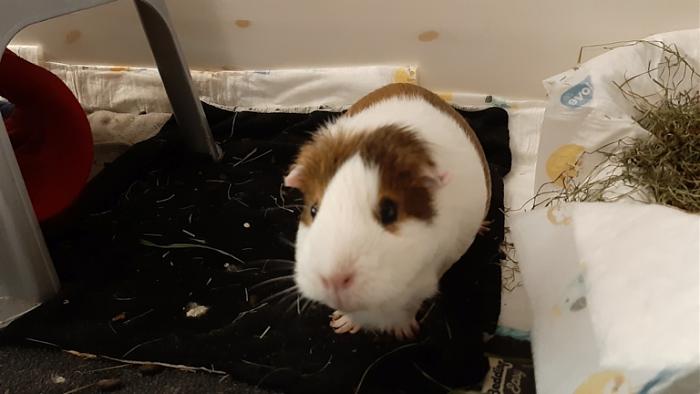 Klicke auf die Grafik fr eine grere Ansicht

Name:	20220619_123042.jpg
Hits:	0
Gre:	79,5 KB
ID:	196762