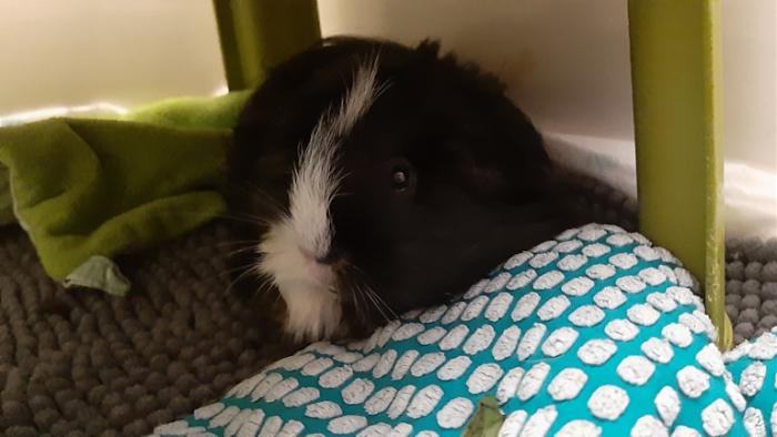 Klicke auf die Grafik fr eine grere Ansicht

Name:	20220619_114236.jpg
Hits:	0
Gre:	93,7 KB
ID:	196763