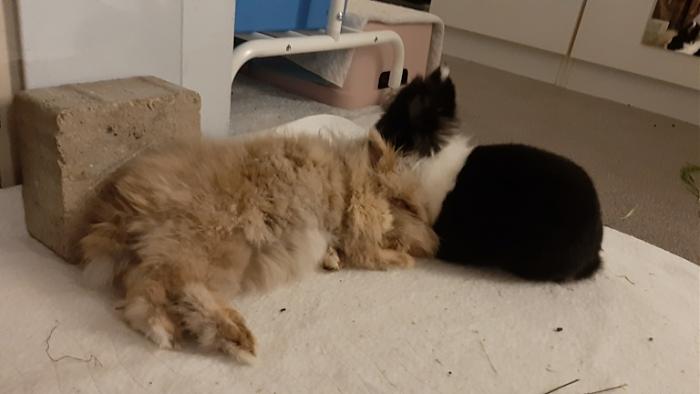 Klicke auf die Grafik fr eine grere Ansicht

Name:	20220613_021823.jpg
Hits:	0
Gre:	71,2 KB
ID:	196765