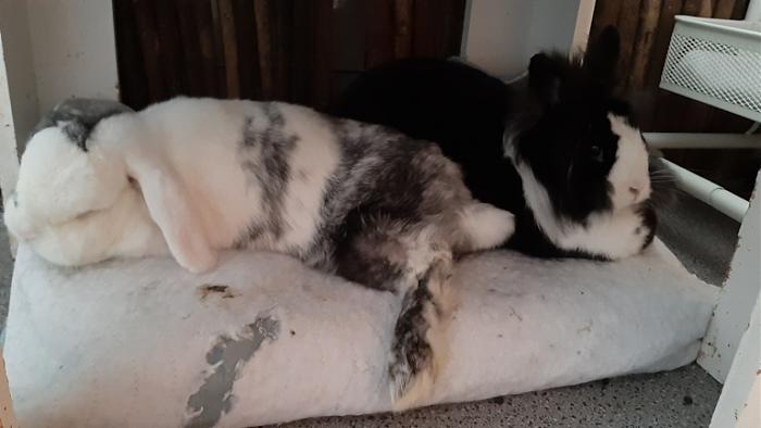 Klicke auf die Grafik fr eine grere Ansicht

Name:	20220616_092622.jpg
Hits:	0
Gre:	78,9 KB
ID:	196766