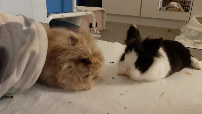 Klicke auf die Grafik fr eine grere Ansicht

Name:	20220616_051534.jpg
Hits:	0
Gre:	71,4 KB
ID:	196767