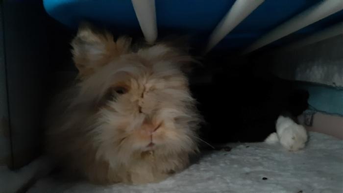 Klicke auf die Grafik fr eine grere Ansicht

Name:	20220615_134538.jpg
Hits:	0
Gre:	52,7 KB
ID:	196769