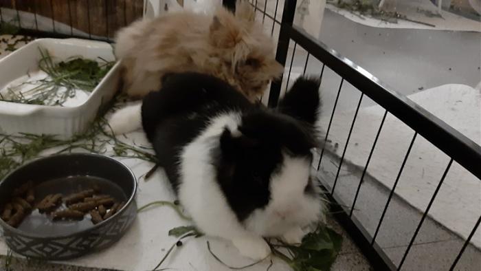 Klicke auf die Grafik fr eine grere Ansicht

Name:	20220617_035300.jpg
Hits:	0
Gre:	88,5 KB
ID:	196770