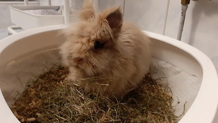 Klicke auf die Grafik fr eine grere Ansicht

Name:	20220617_050028.jpg
Hits:	0
Gre:	88,9 KB
ID:	196771