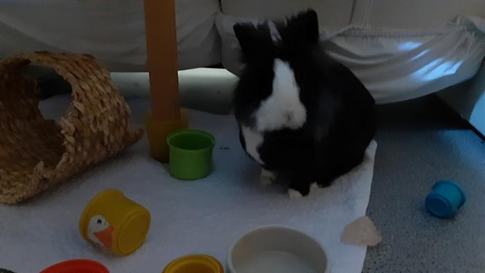 Klicke auf die Grafik fr eine grere Ansicht

Name:	20220617_040626.jpg
Hits:	0
Gre:	63,0 KB
ID:	196772